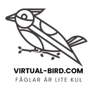 (c) Virtual-bird.com